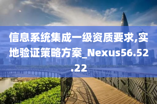 信息系统集成一级资质要求,实地验证策略方案_Nexus56.52.22