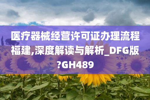 医疗器械经营许可证办理流程福建,深度解读与解析_DFG版?GH489