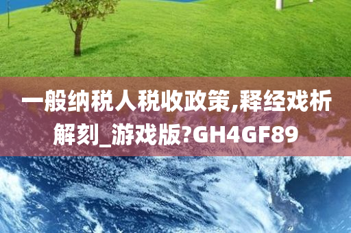 一般纳税人税收政策,释经戏析解刻_游戏版?GH4GF89