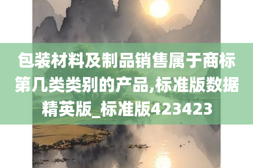 包装材料及制品销售属于商标第几类类别的产品,标准版数据精英版_标准版423423