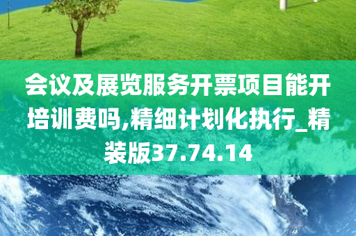 会议及展览服务开票项目能开培训费吗,精细计划化执行_精装版37.74.14