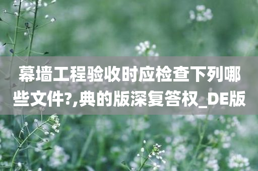 幕墙工程验收时应检查下列哪些文件?,典的版深复答权_DE版