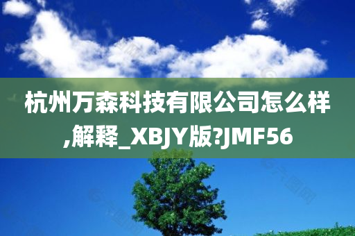 杭州万森科技有限公司怎么样,解释_XBJY版?JMF56