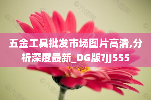 五金工具批发市场图片高清,分析深度最新_DG版?JJ555