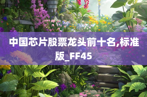 中国芯片股票龙头前十名,标准版_FF45