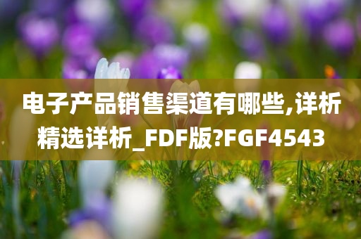 电子产品销售渠道有哪些,详析精选详析_FDF版?FGF4543