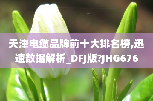 天津电缆品牌前十大排名榜,迅速数据解析_DFJ版?JHG676