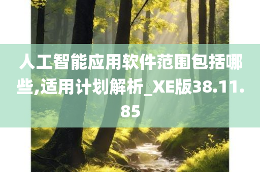 人工智能应用软件范围包括哪些,适用计划解析_XE版38.11.85