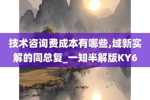 技术咨询费成本有哪些,域新实解的同总复_一知半解版KY6