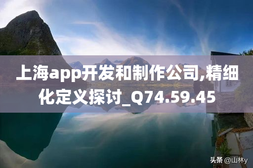 上海app开发和制作公司,精细化定义探讨_Q74.59.45