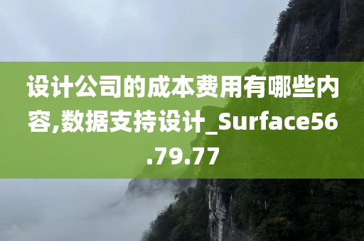 设计公司的成本费用有哪些内容,数据支持设计_Surface56.79.77