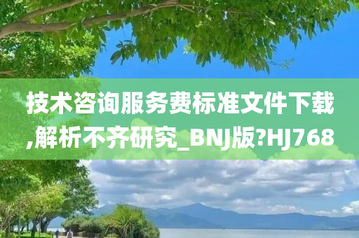 技术咨询服务费标准文件下载,解析不齐研究_BNJ版?HJ768