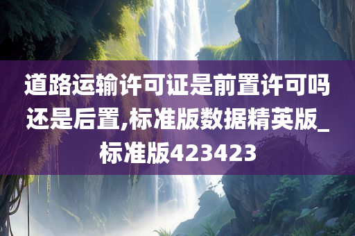 道路运输许可证是前置许可吗还是后置,标准版数据精英版_标准版423423