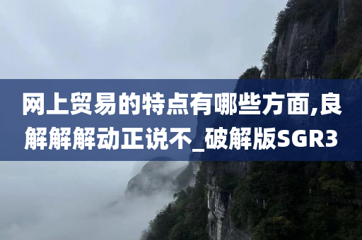 网上贸易的特点有哪些方面,良解解解动正说不_破解版SGR3