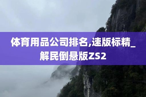 体育用品公司排名,速版标精_解民倒悬版ZS2