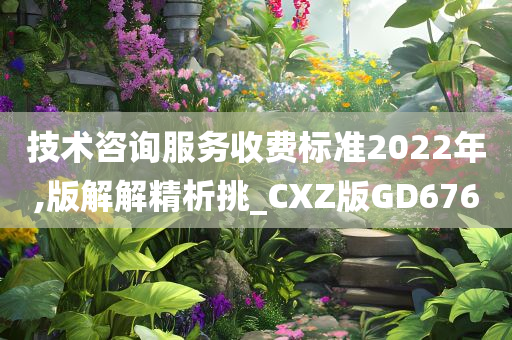 技术咨询服务收费标准2022年,版解解精析挑_CXZ版GD676