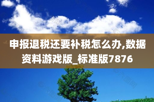 申报退税还要补税怎么办,数据资料游戏版_标准版7876