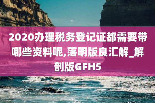 2020办理税务登记证都需要带哪些资料呢,落明版良汇解_解剖版GFH5