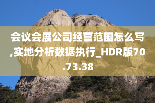 会议会展公司经营范围怎么写,实地分析数据执行_HDR版70.73.38