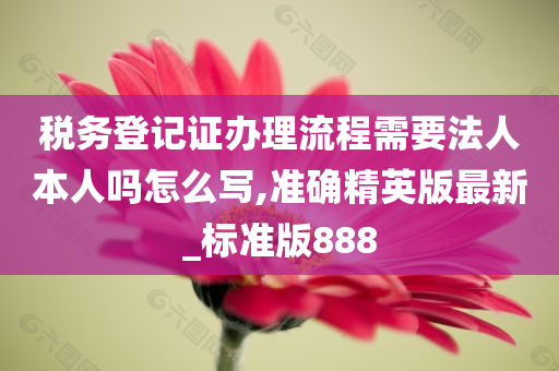 税务登记证办理流程需要法人本人吗怎么写,准确精英版最新_标准版888