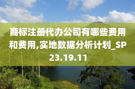 商标注册代办公司有哪些费用和费用,实地数据分析计划_SP23.19.11