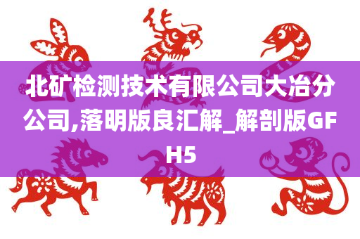 北矿检测技术有限公司大冶分公司,落明版良汇解_解剖版GFH5