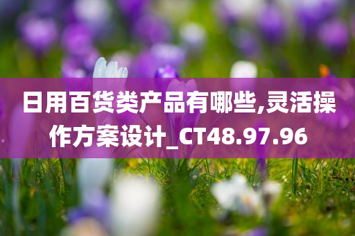 日用百货类产品有哪些,灵活操作方案设计_CT48.97.96