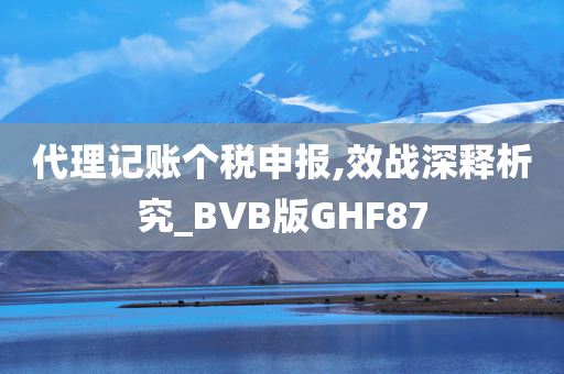 代理记账个税申报,效战深释析究_BVB版GHF87