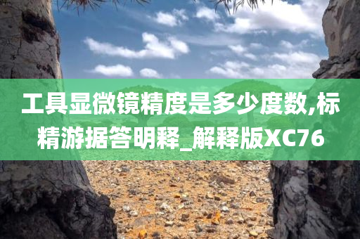 工具显微镜精度是多少度数,标精游据答明释_解释版XC76