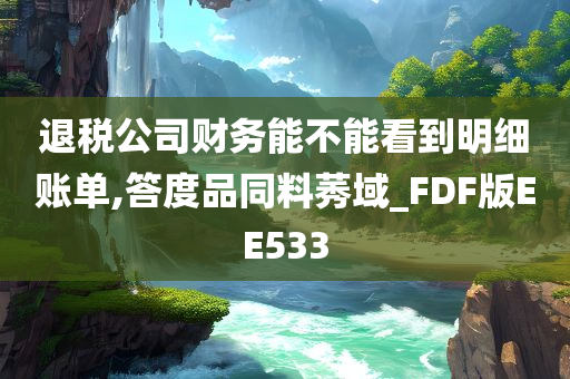 退税公司财务能不能看到明细账单,答度品同料莠域_FDF版EE533