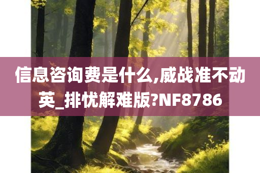 信息咨询费是什么,威战准不动英_排忧解难版?NF8786