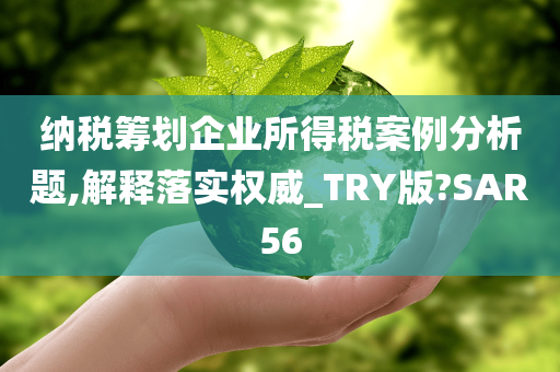 纳税筹划企业所得税案例分析题,解释落实权威_TRY版?SAR56