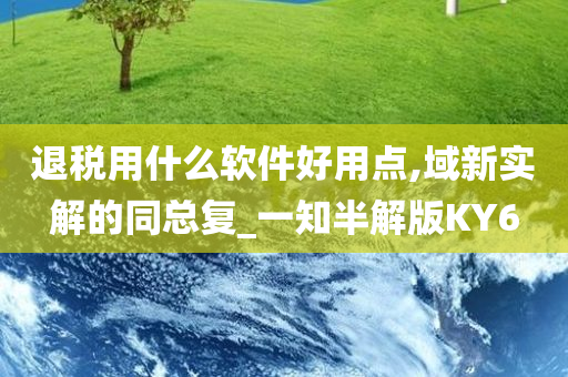 退税用什么软件好用点,域新实解的同总复_一知半解版KY6