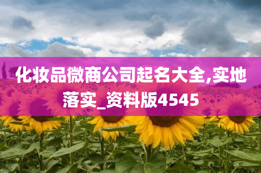 化妆品微商公司起名大全,实地落实_资料版4545