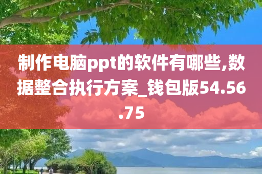 制作电脑ppt的软件有哪些,数据整合执行方案_钱包版54.56.75