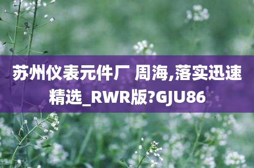 苏州仪表元件厂 周海,落实迅速精选_RWR版?GJU86