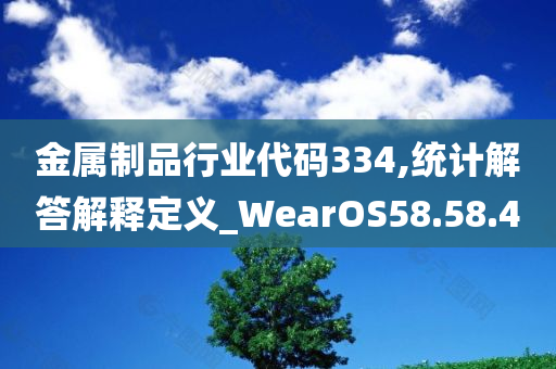 金属制品行业代码334,统计解答解释定义_WearOS58.58.40