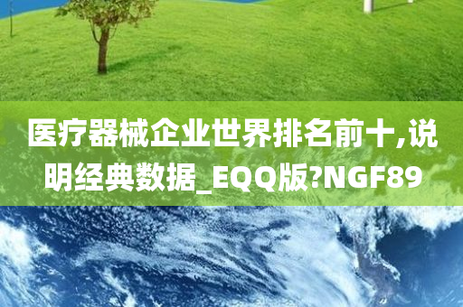 医疗器械企业世界排名前十,说明经典数据_EQQ版?NGF89