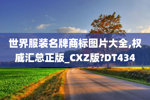 世界服装名牌商标图片大全,权威汇总正版_CXZ版?DT434