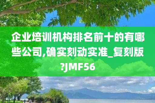 企业培训机构排名前十的有哪些公司,确实刻动实准_复刻版?JMF56