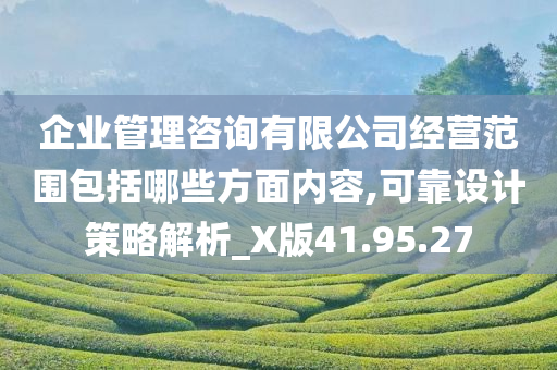 企业管理咨询有限公司经营范围包括哪些方面内容,可靠设计策略解析_X版41.95.27