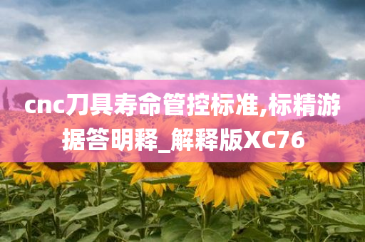 cnc刀具寿命管控标准,标精游据答明释_解释版XC76