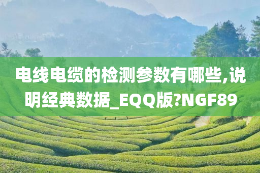 电线电缆的检测参数有哪些,说明经典数据_EQQ版?NGF89