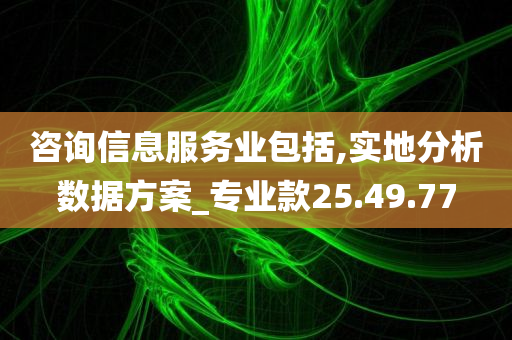 咨询信息服务业包括,实地分析数据方案_专业款25.49.77