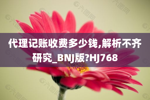 代理记账收费多少钱,解析不齐研究_BNJ版?HJ768