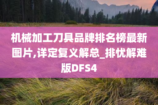 机械加工刀具品牌排名榜最新图片,详定复义解总_排忧解难版DFS4