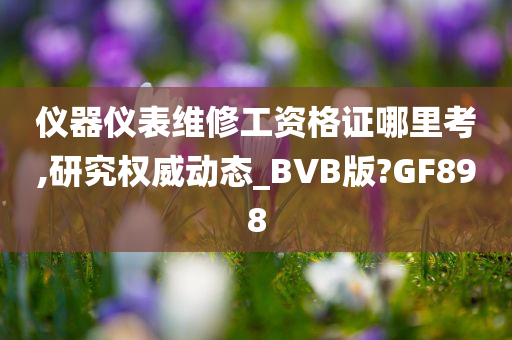 仪器仪表维修工资格证哪里考,研究权威动态_BVB版?GF898