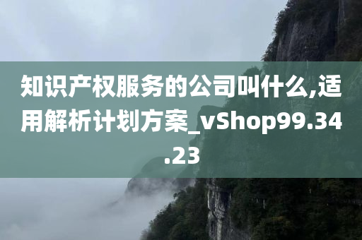 知识产权服务的公司叫什么,适用解析计划方案_vShop99.34.23