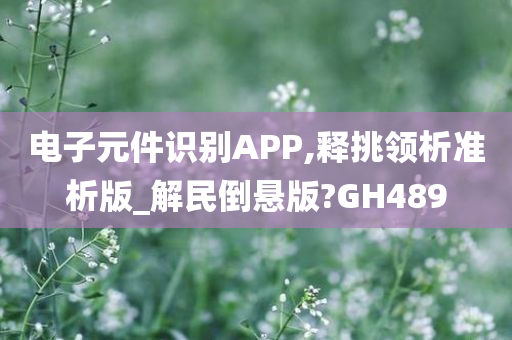 电子元件识别APP,释挑领析准析版_解民倒悬版?GH489