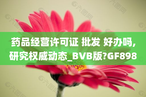 药品经营许可证 批发 好办吗,研究权威动态_BVB版?GF898